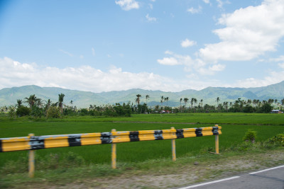 There's miles upon miles of this in Leyte